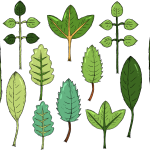 欧博真人公测海洋钻石版-欧博真人极速下载官方APP/安卓IOS通用/手机版登录